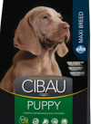 Cibau Puppy Maxi (12кг)